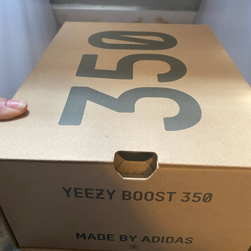 Yeezy 350 Boost “Zyon” - Picture 3 of 6